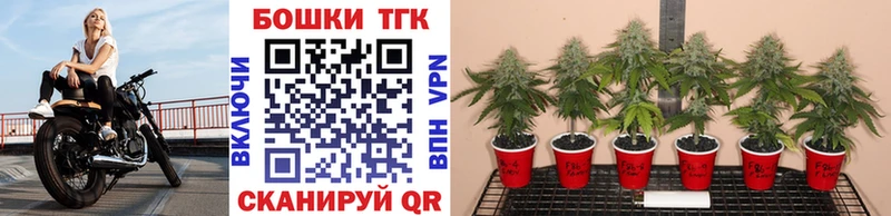 Купить наркотики сайты Гаврилов Посад Гашиш  Cocaine  МЕФ  APVP  Конопля 