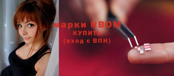 индика Алзамай