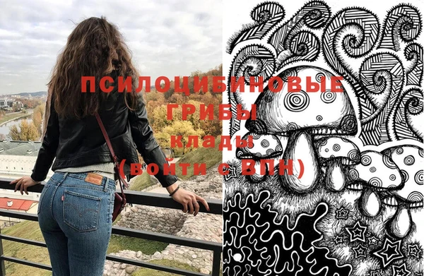 твердый Алексеевка