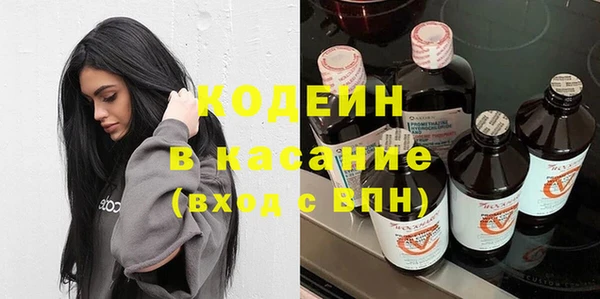 индика Алзамай