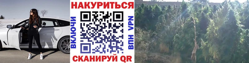 Бошки марихуана THC 21%  Гаврилов Посад 